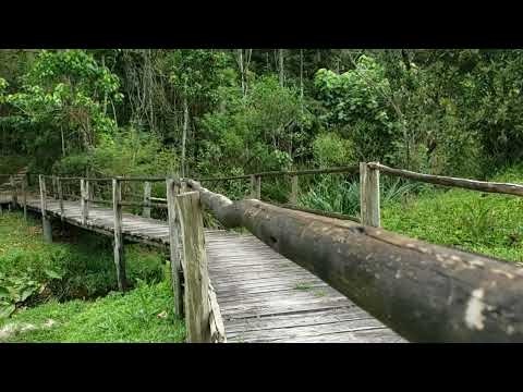 Calming music to relax, Enjoy the moment with ambient classical music