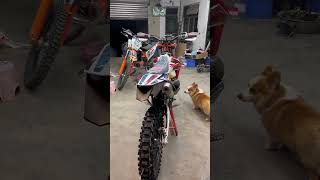 Mastering the Terrain: Off-Road Motorbike Mastery #Motocross #ATVracing #Enduro #Dirttrack 182