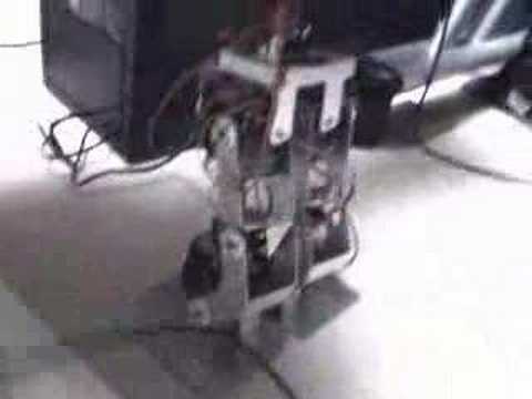 Walk Raiden Robot