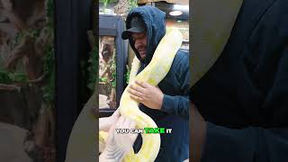 Can he hold the snake? Subscribe to find out