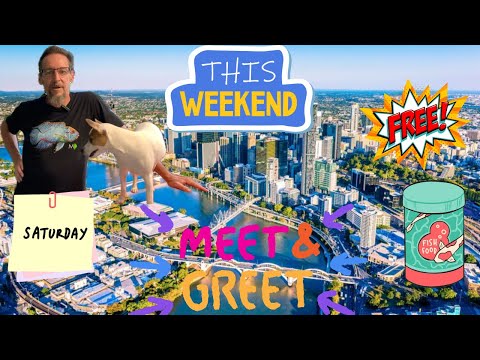 Fish Food Giveaway and Meet up !!