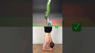 How to Find Perfect Balance in Forearm Stand 🔥 #yoga #flexibility #calisthenics #tutorial #mobility