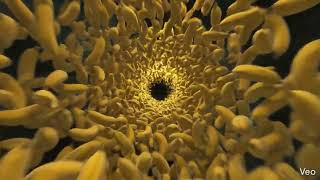 2 Great AI Image Tools from Google