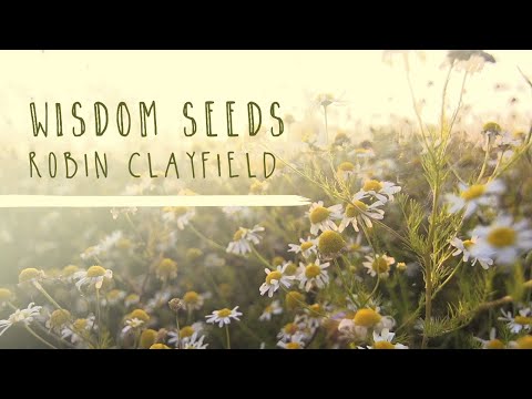 Wisdom Seeds