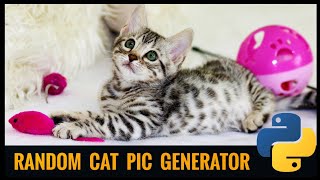 Get random cat images using python | #pyGuru