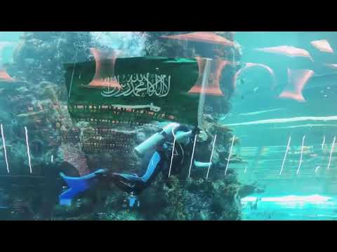 Jeddah Airport Celebrates the Saudi National Day from the world’s biggest Airport Aquarium.