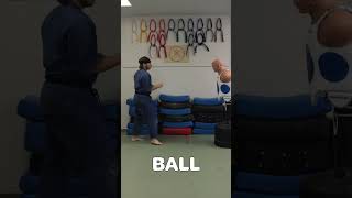 🥋TTJC - 1 Minute Tutorial - Hook Kick🥋 #martialarts #judo #tutorial