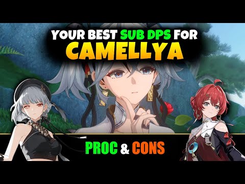 Who is the BEST Sub DPS for CAMELLYA? | Wuthering Waves