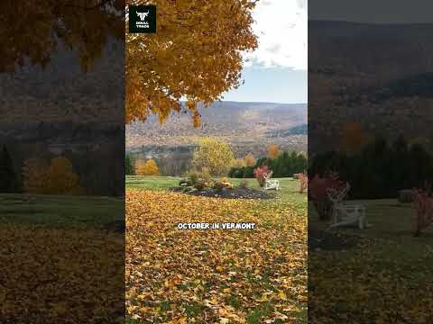 Vermont is beautiful. #fall #autumn #vermont #beautifuldestinations