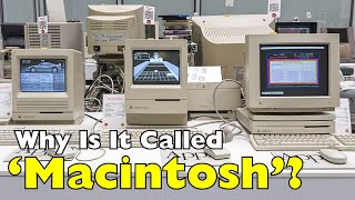 Why Is Apple’s Computer Called “Macintosh”? (The Real Story) [ID0816]