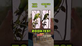 Oneplus 13 Vs Vivo X200 Zoom Test #oneplus13 #vivox200 #oneplus #vivo #trending #mobile #shorts