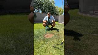 How to fix grass patches #lawn #lawncare #problemsolved