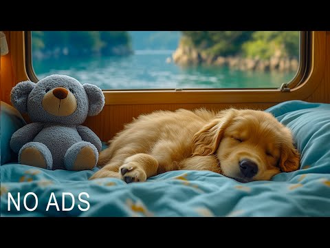 Deep Separation Anxiety Music for Dog Relaxation! Helped 4 Million Dogs Worldwide! NEW!