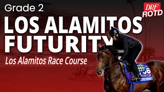 DRF Saturday ROTD | Grade 2 Los Alamitos Futurity | December 13, 2025