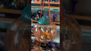 Part 1: Dollar Tree Fall Coffee Station 🍂 #dollartree #fall #coffee