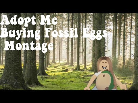 Buying Fossil Eggs Montage | The Adventure Of Lorenz