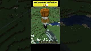 Minecraft WARDEN Vs Snow Golem Army 💀💪 #shorts #minecraft #viralvideo