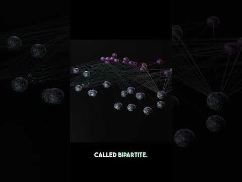 Pioneering animation of bipartite graphs in 2025!
