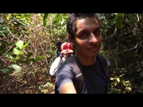 Beach Hopping in Gokarna, Karnataka