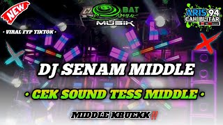 DJ SENAM MIDDLE CEK SOUND - ANS AUDIO - OBAT NGAMUK MUSIK