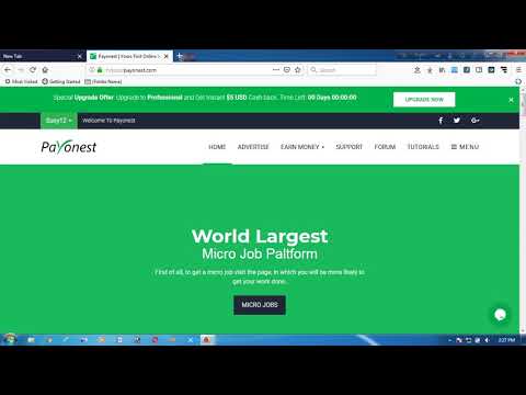 বিকাশে পেমেন্ট পেয়োনেস্ট মাসে আয় করুন ১০০-২০০$ ডলার ।Payonest account monthly earn dollar 100$-200$