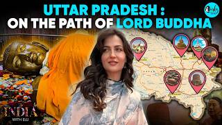 Elli AvrRam Explores Uttar Pradesh’s Buddha Circuit | India With Elli S03 Ep09 | Curly Tales