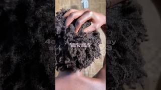 4C Wash Day Steps🫧💕 #4chair #naturalhair #curlyhair #coilyhair #washday