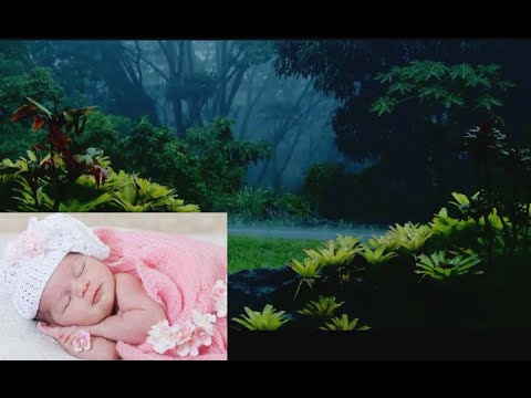 relaxing rain sound for sleeping | 9 hours of rain sound