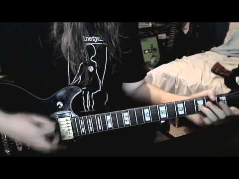 Nemorosa - Point of Realization (Guitar Cover)