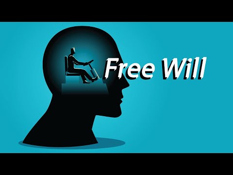 Antonio Di Lorenzo - Free Will: Physical and Philosophical Considerations