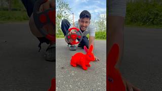 Rabbit Ko to chapri colour kardya
