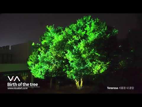 Terarosa Media Forest | Birth of the tree(Right view)