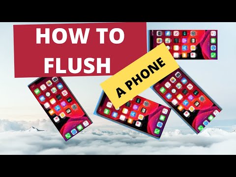How to Flush a Phone