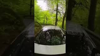 The drive in Healey Dell Nature reserve. #englishvlog #hiking #exploreuk
