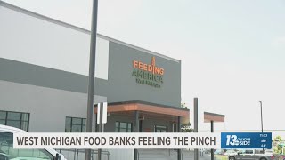 Michigan families face food insecurity as SNAP benefits are halted
