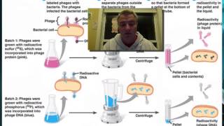 DNA - The Molecular Basis of Inheritance