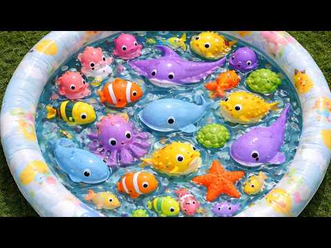 WOW! Ocean Animals for Kids 🌊 Learn Names, Sounds & Fun Sea Toys