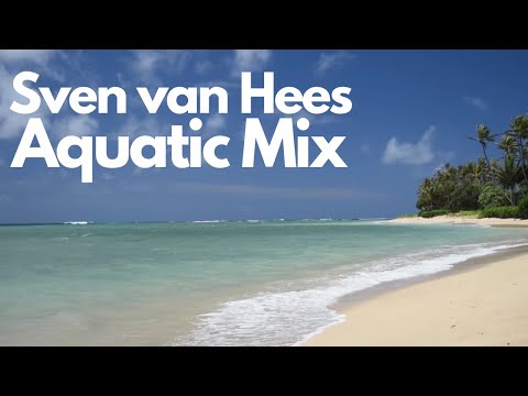 #smoothjazz #lifestyle #jazzmix Sven van Hees - Aquatic Mix Sunsation ( feat. Andy Anderson)