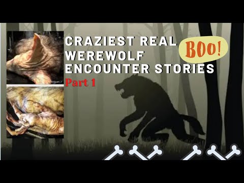 TRUE WEREWOLF Stories ❗ 2 HOURS WORTH ❗  #werewolf #stories