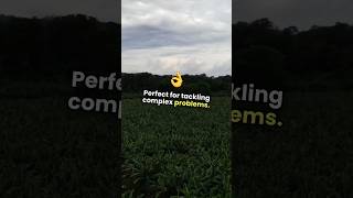 Top 5 Fruits to Boost Your Engineering Mindset | #BrainFood #EngineeringTips #BoostYourMind"