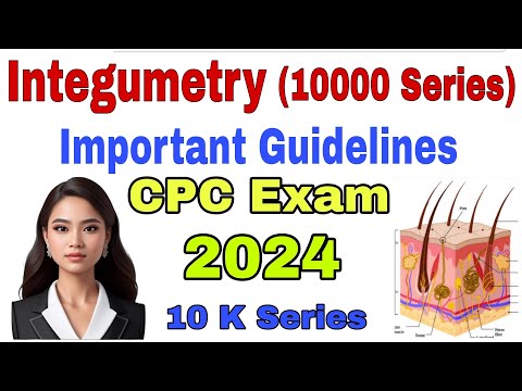 Integumetry Chapter (10 K Series) Guidelines | Medical Coding | CPT Coding Guidelines | Skin Anatomy