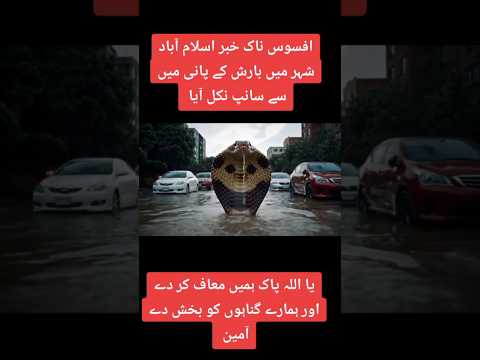 افسوس ناک خبر اسلام آباد شہر میں پانی میں سے سانپ نکل آیا #ai #snake #youtube #youtubeshorts