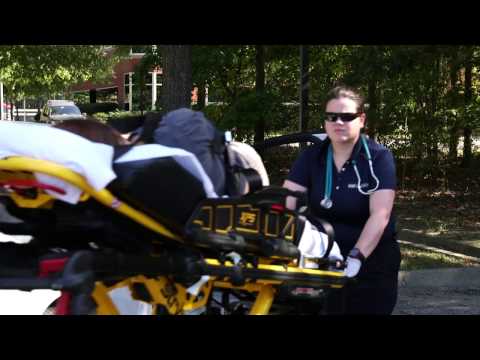 Taking Action Together: An Interdisciplinary Team Approach