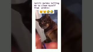 Be clean from within. 😾🤣🤣 #codeknowledge #funny #funnycats #spiritguide