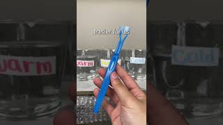 Stop Boiling Your Toothbrushes