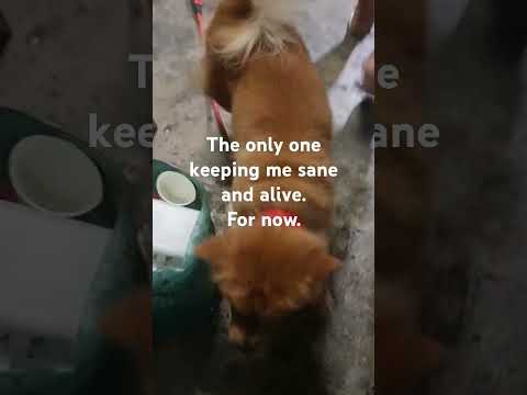 I'm trying but I always fall short. I just want a good life for me and Nala.