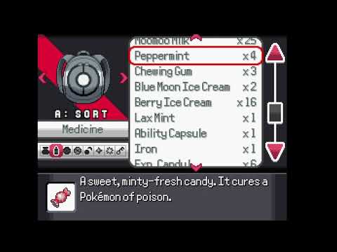 Pokemon Reborn: Vs. Samson