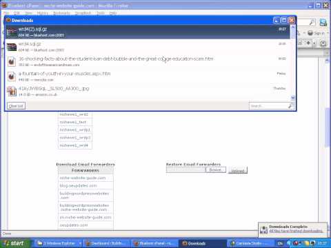 How to Backup Wordpress Using Cpanel on Bluehost
