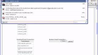 How to Backup Wordpress Using Cpanel on Bluehost