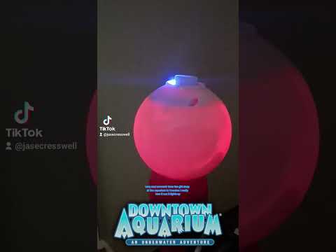 very cool light up bubble maker from the Houston downtown aquarium gift shop